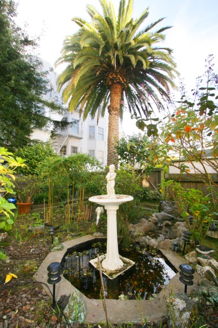 yard