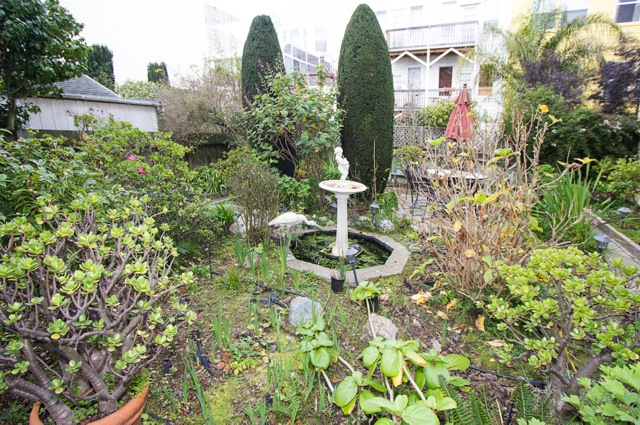 garden