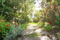 Secret garden